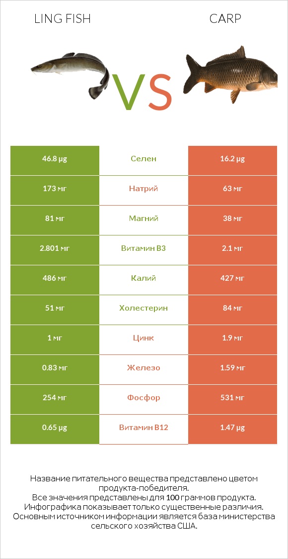 Ling fish vs Carp infographic