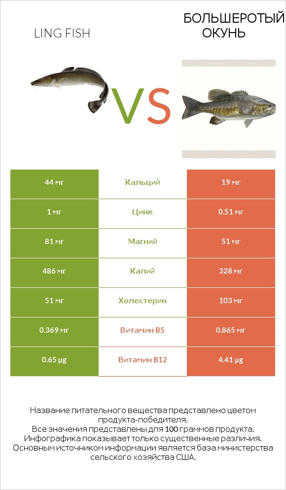 Ling fish vs Большеротый окунь infographic