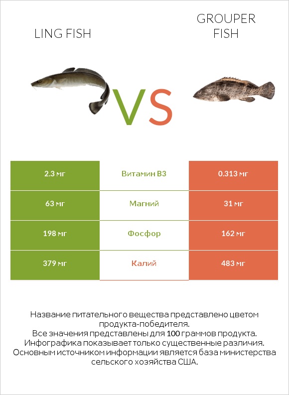 Ling fish vs Grouper fish infographic