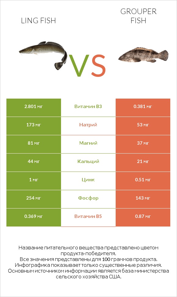 Ling fish vs Grouper fish infographic