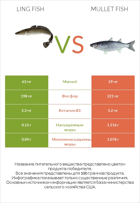 Ling fish vs Mullet fish infographic