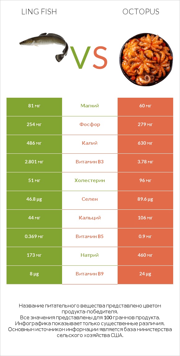 Ling fish vs Octopus infographic