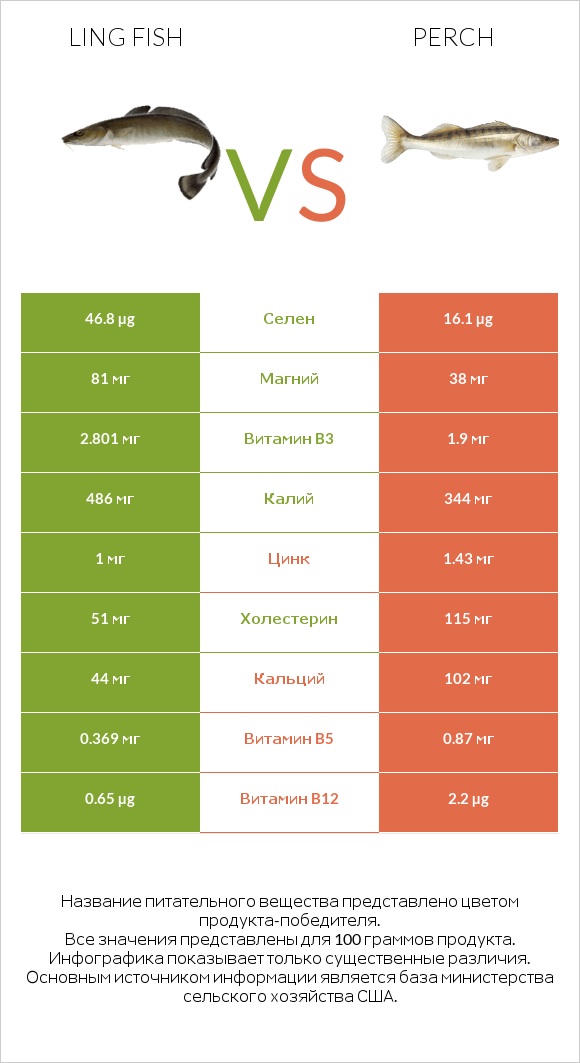 Ling fish vs Perch infographic