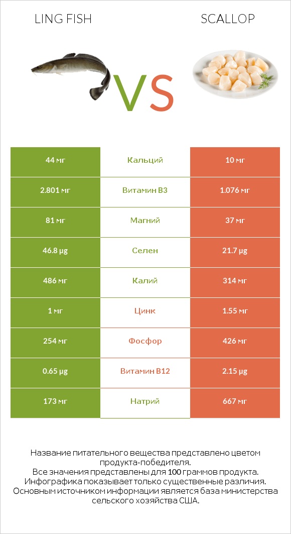 Ling fish vs Scallop infographic