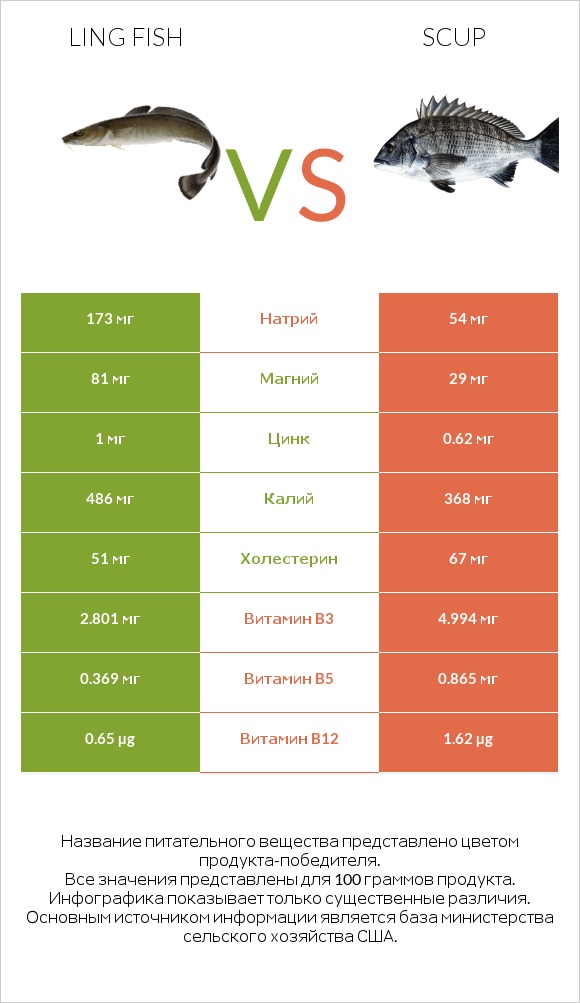 Ling fish vs Scup infographic