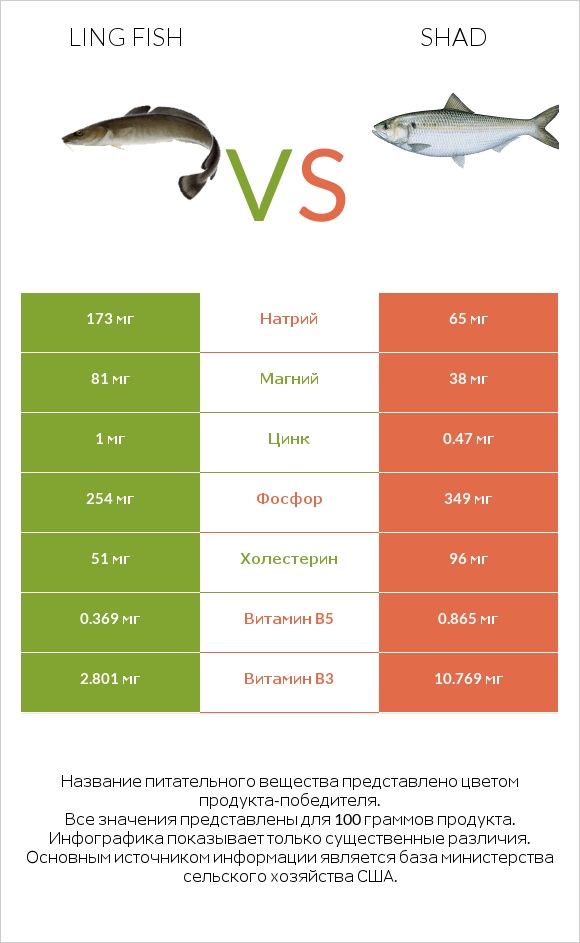 Ling fish vs Shad infographic