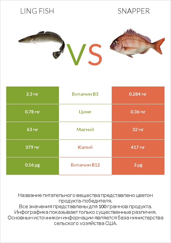 Ling fish vs Snapper infographic