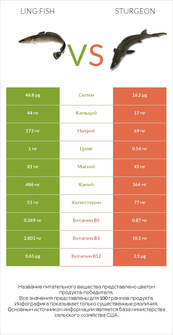 Ling fish vs Sturgeon infographic