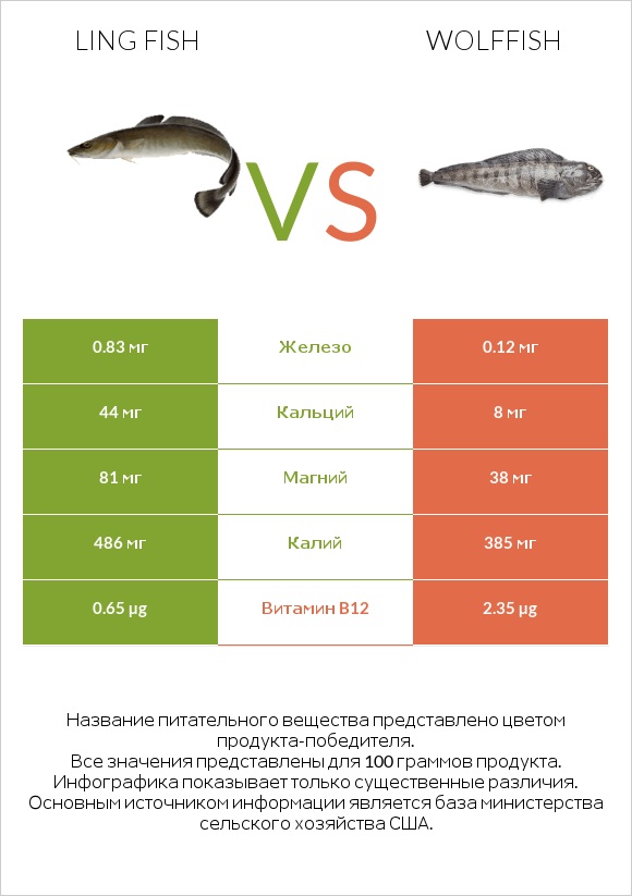 Ling fish vs Wolffish infographic