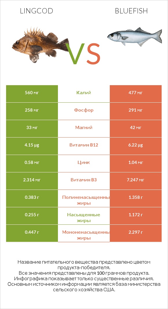 Lingcod vs Bluefish infographic