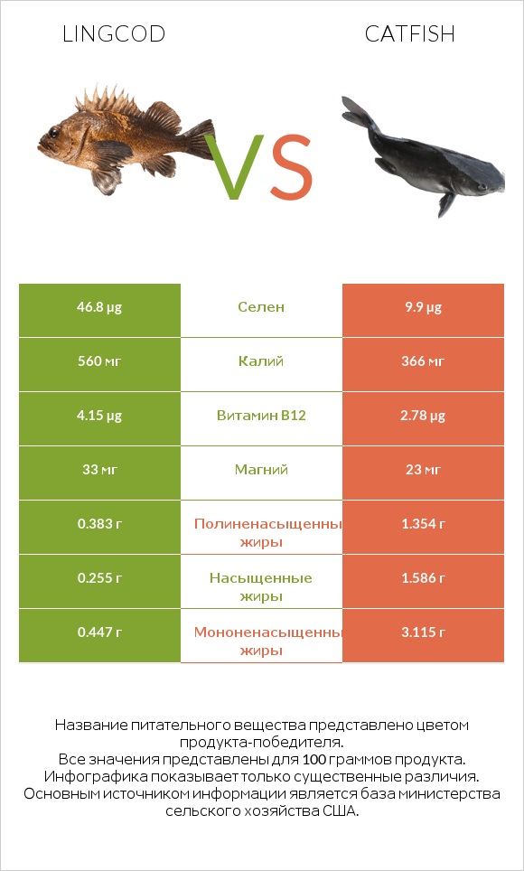 Lingcod vs Catfish infographic