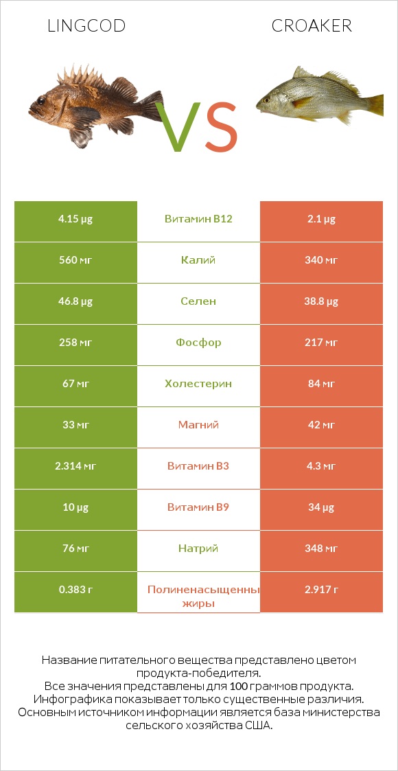 Lingcod vs Croaker infographic