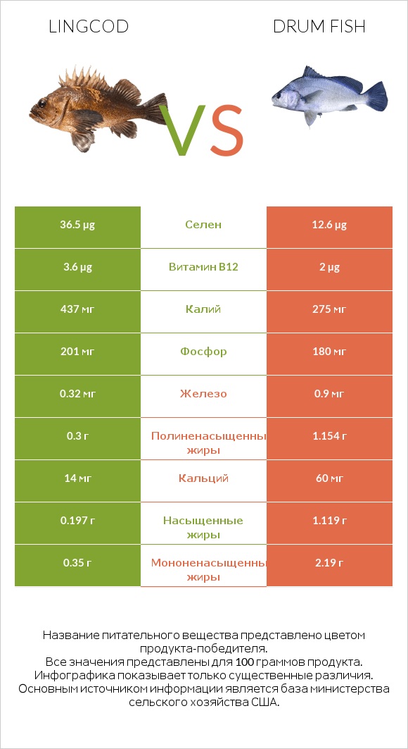 Lingcod vs Drum fish infographic