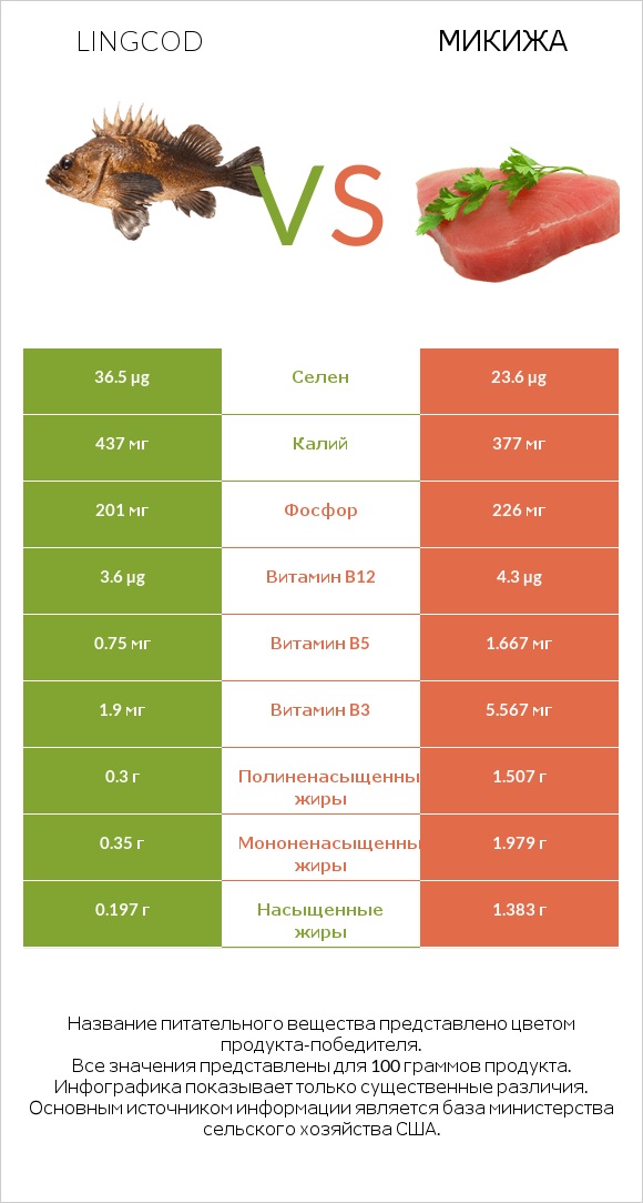 Lingcod vs Микижа infographic