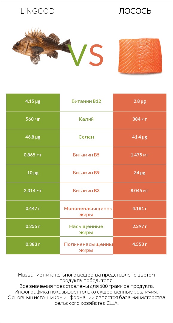 Lingcod vs Лосось infographic