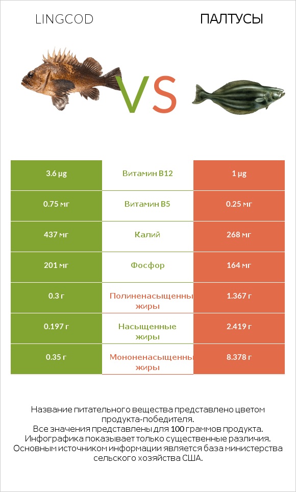 Lingcod vs Палтусы infographic
