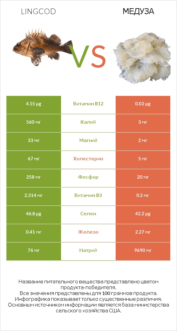 Lingcod vs Медуза infographic