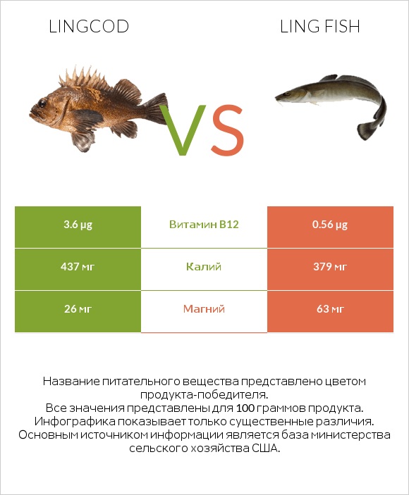 Lingcod vs Ling fish infographic