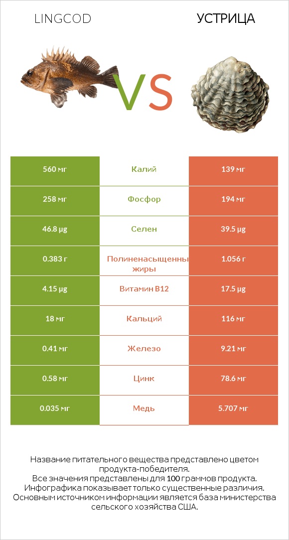 Lingcod vs Устрица infographic