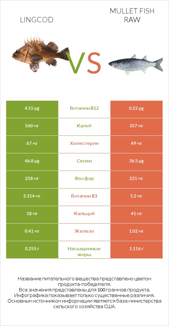 Lingcod vs Mullet fish raw infographic