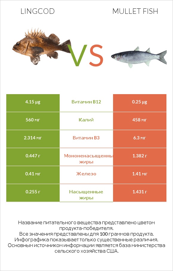 Lingcod vs Mullet fish infographic