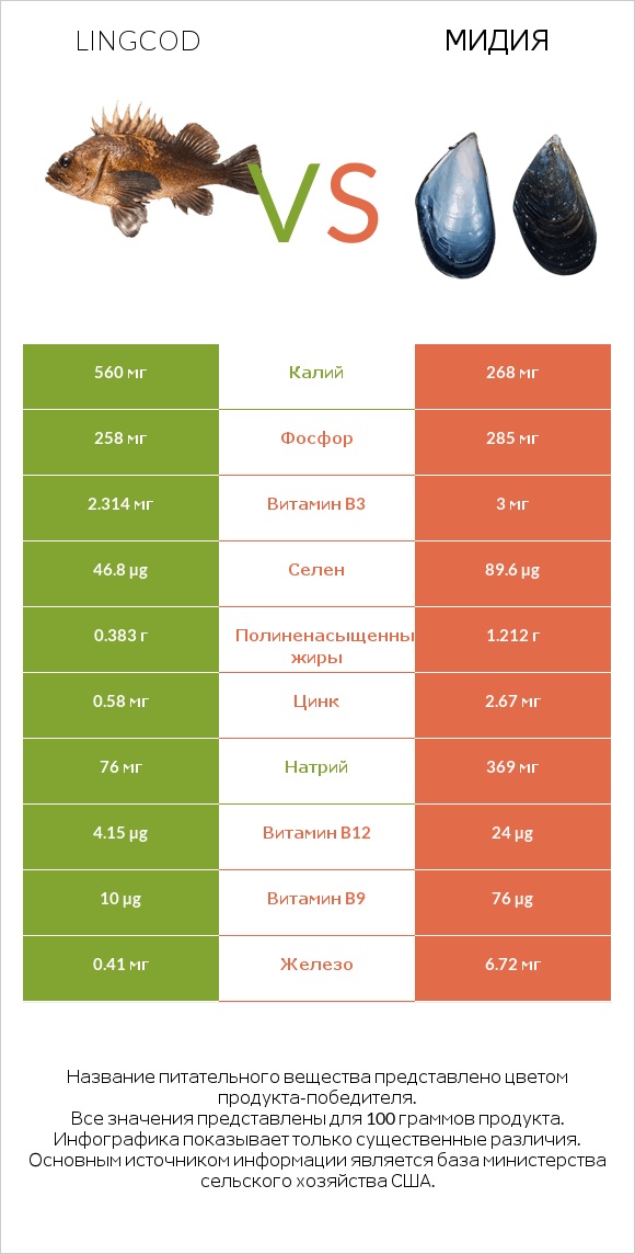 Lingcod vs Мидия infographic