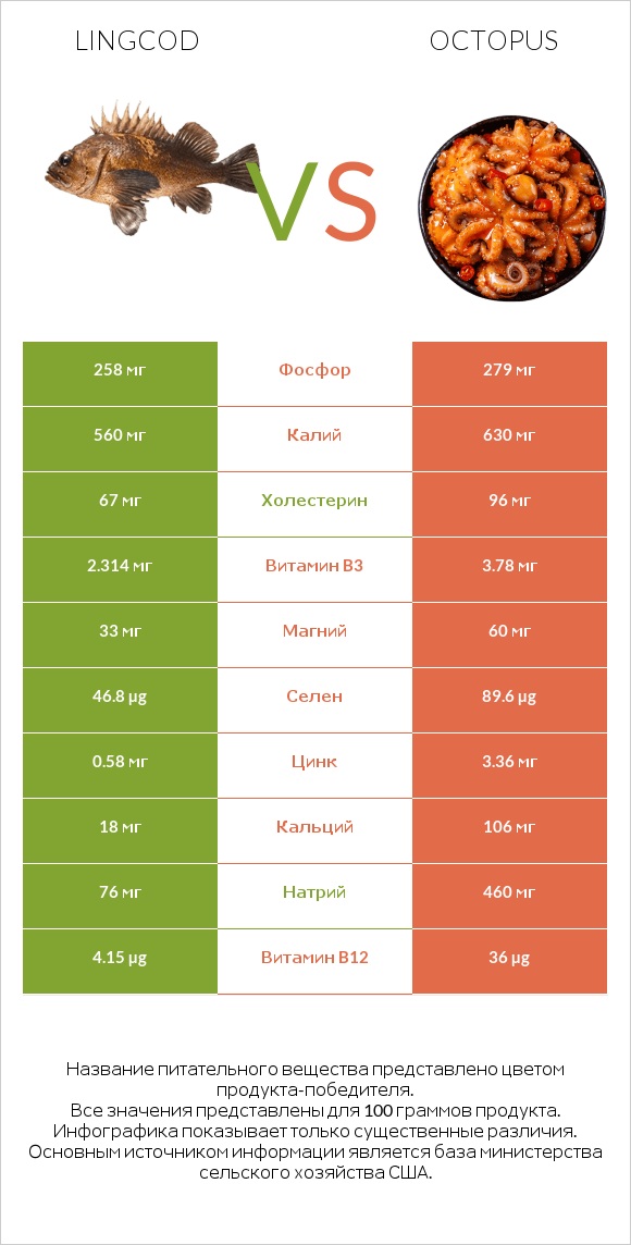 Lingcod vs Octopus infographic