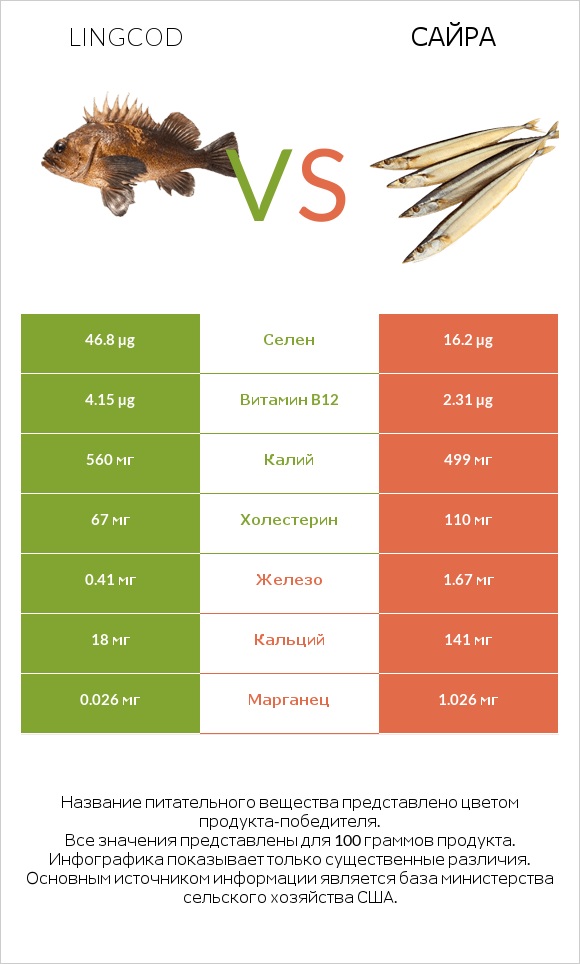 Lingcod vs Сайра infographic