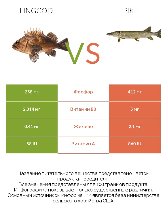 Lingcod vs Pike infographic