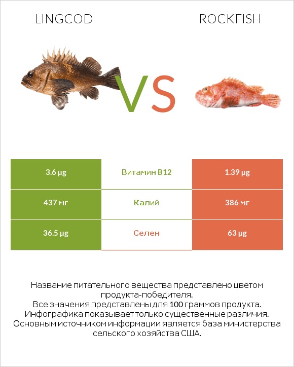 Lingcod vs Rockfish infographic
