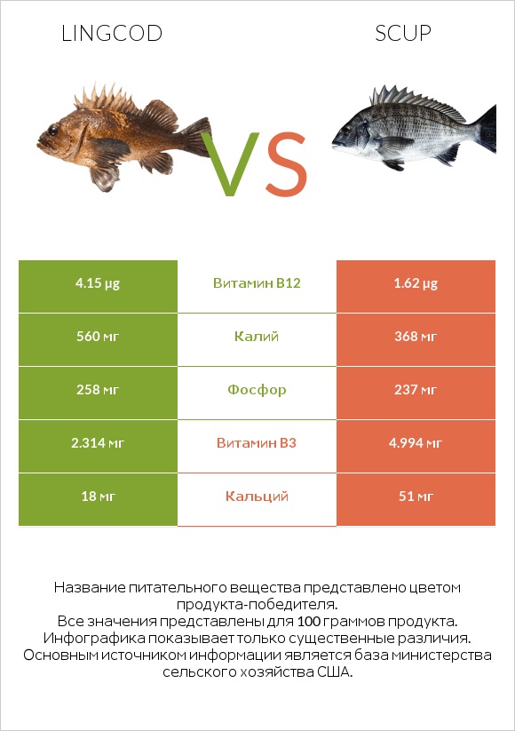 Lingcod vs Scup infographic