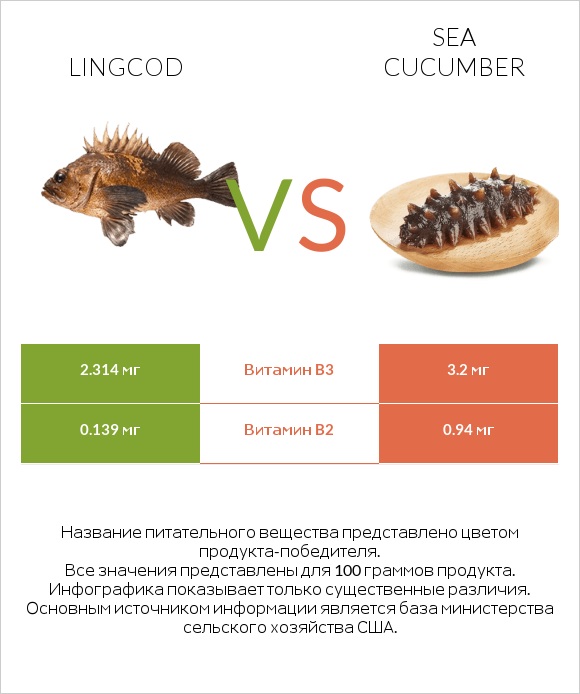 Lingcod vs Sea cucumber infographic