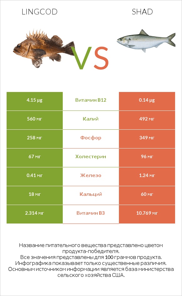 Lingcod vs Shad infographic