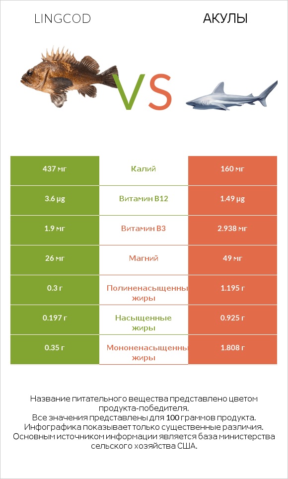 Lingcod vs Акула infographic
