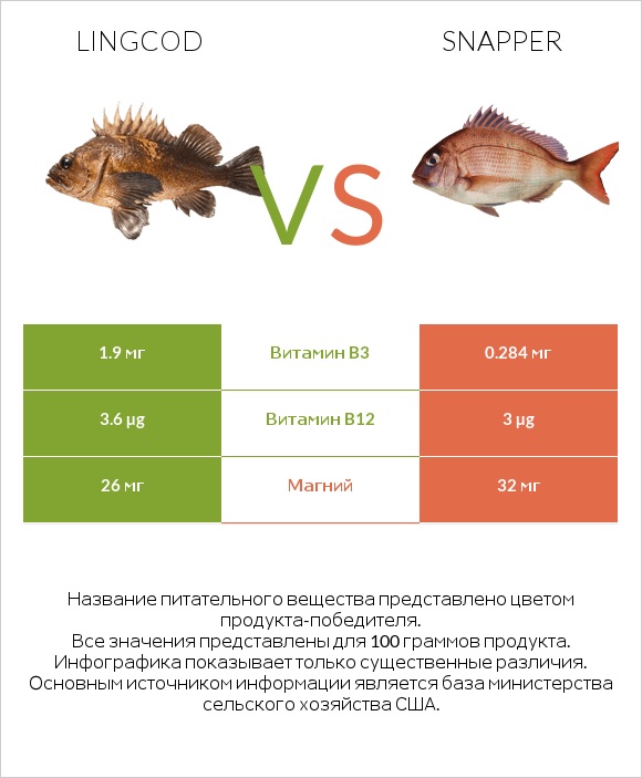 Lingcod vs Snapper infographic
