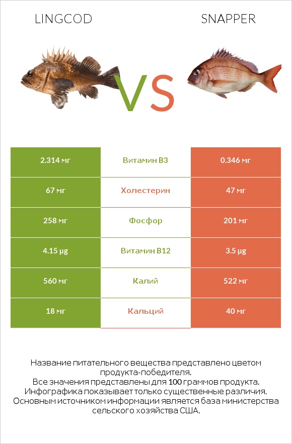 Lingcod vs Snapper infographic