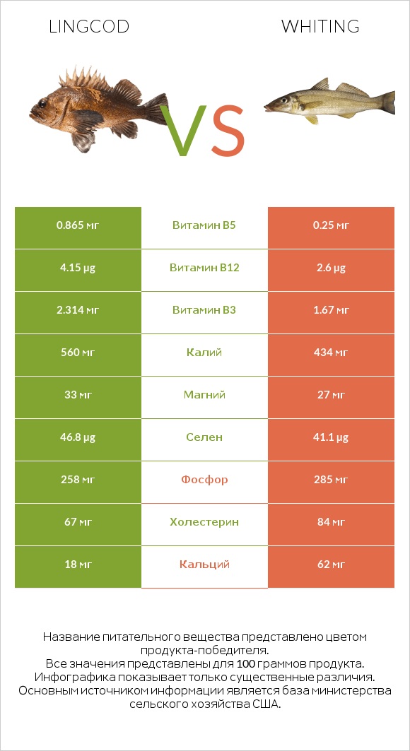 Lingcod vs Whiting infographic