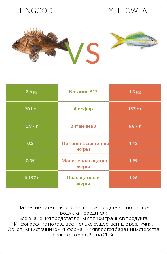 Lingcod vs Yellowtail infographic