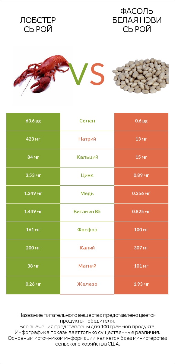 Лобстер сырой vs Фасоль белая нэви сырой infographic
