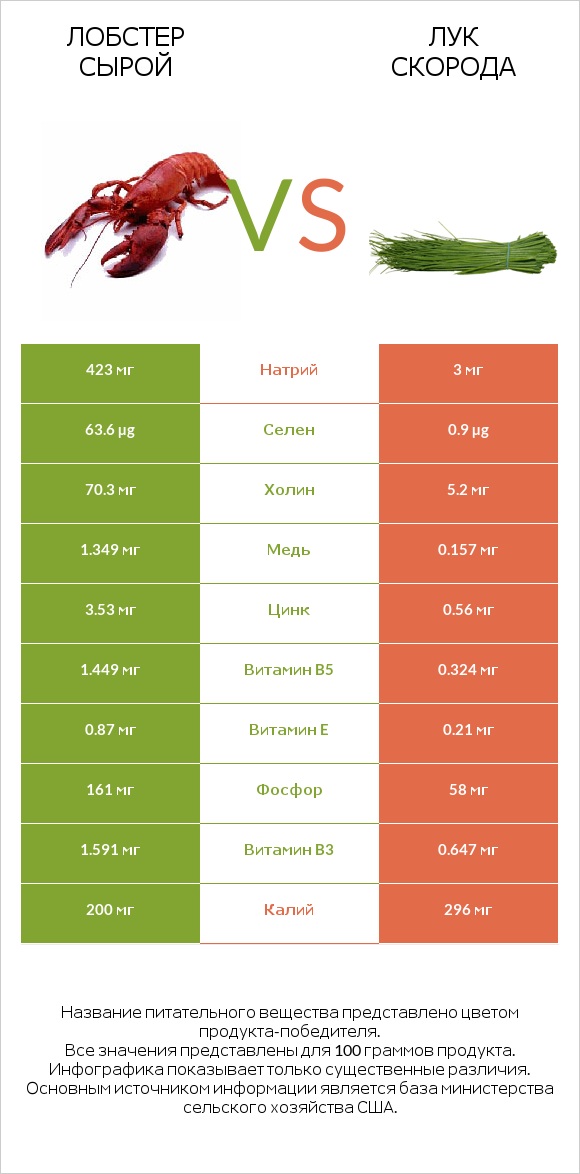 Лобстер сырой vs Лук скорода infographic