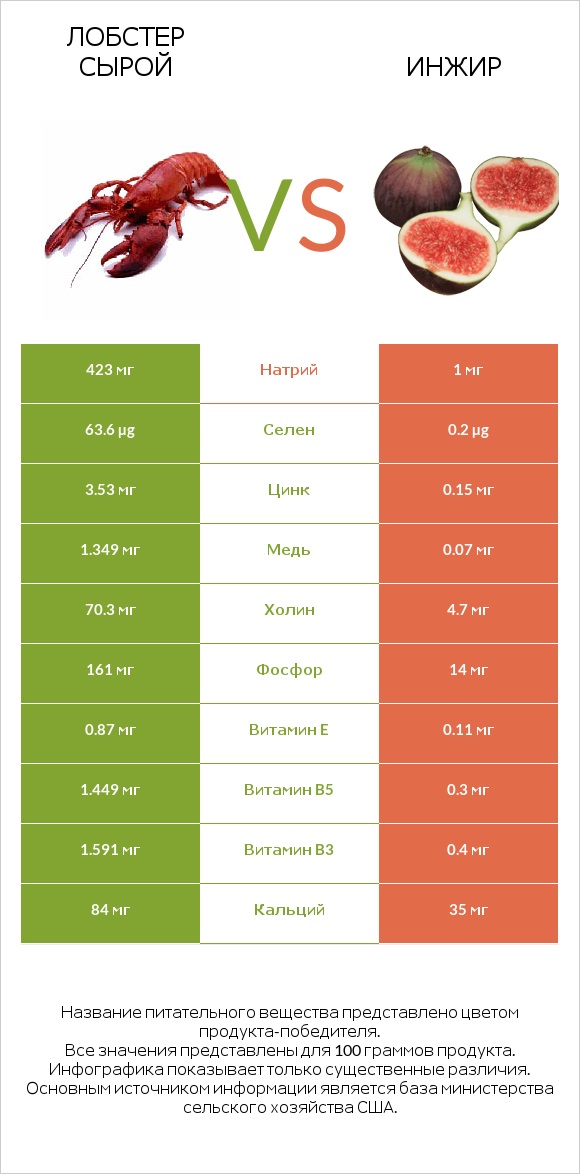 Лобстер сырой vs Инжир infographic