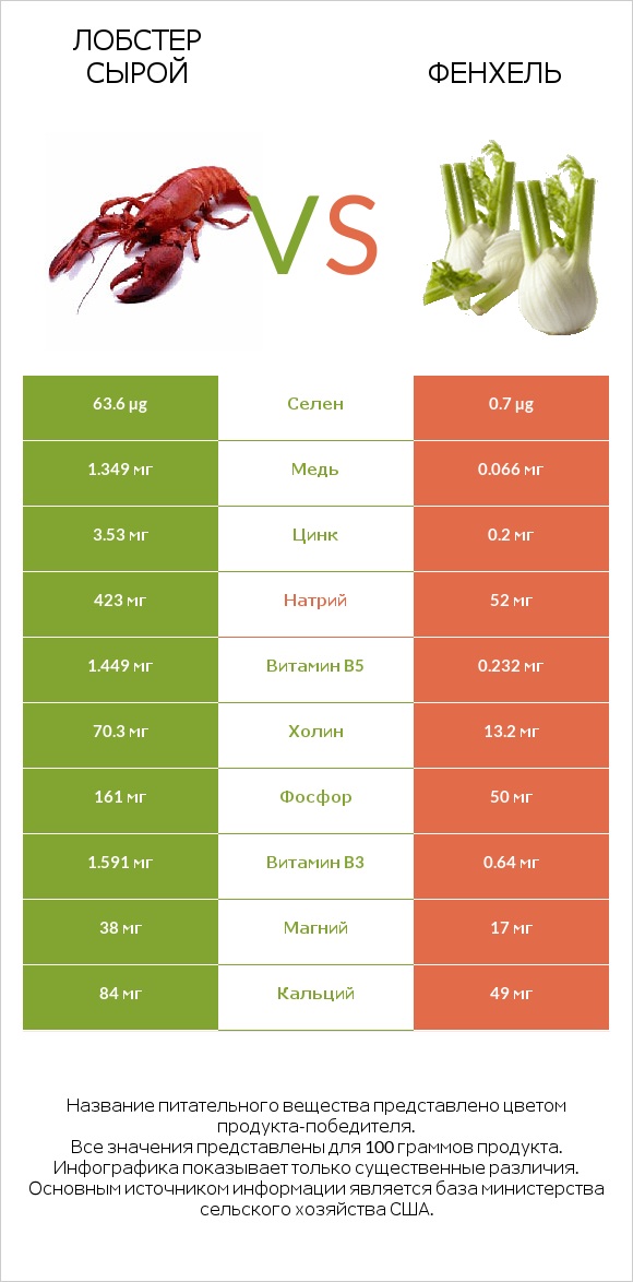 Лобстер сырой vs Фенхель infographic