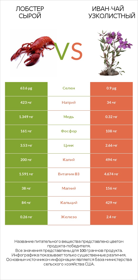 Лобстер сырой vs Иван-чай узколистный infographic