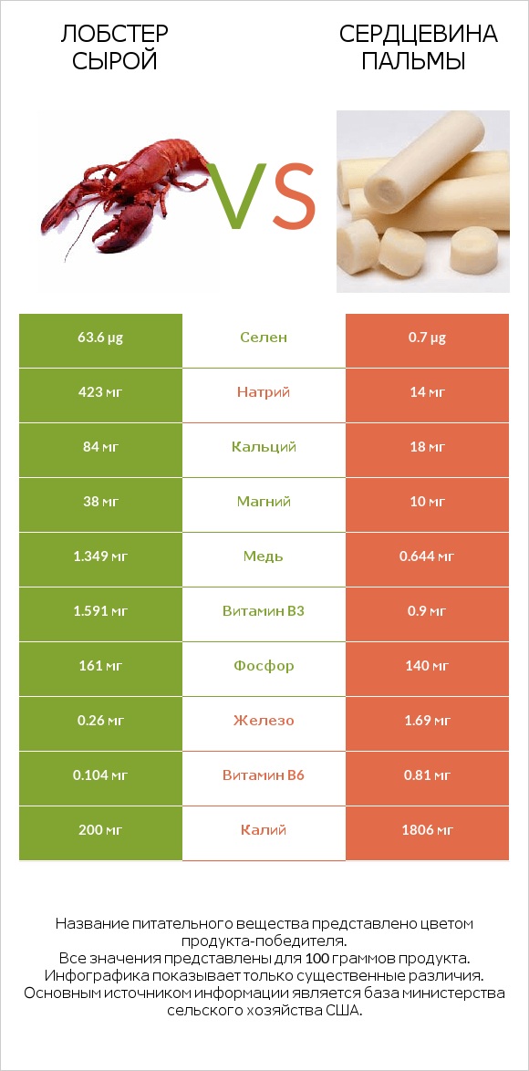 Лобстер сырой vs Сердцевина пальмы infographic