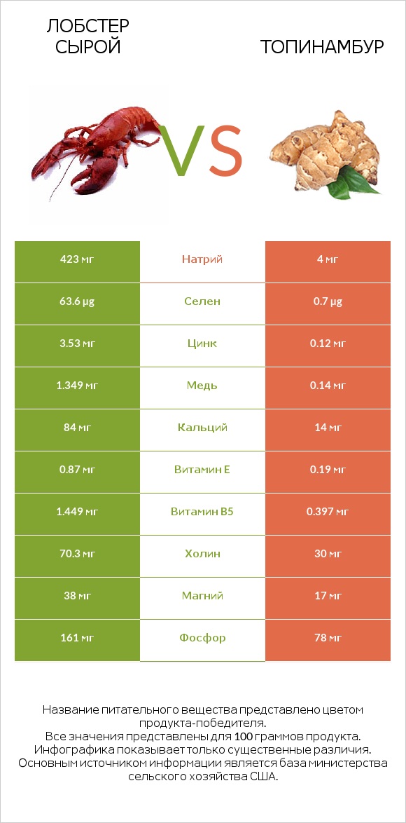 Лобстер сырой vs Топинамбур infographic