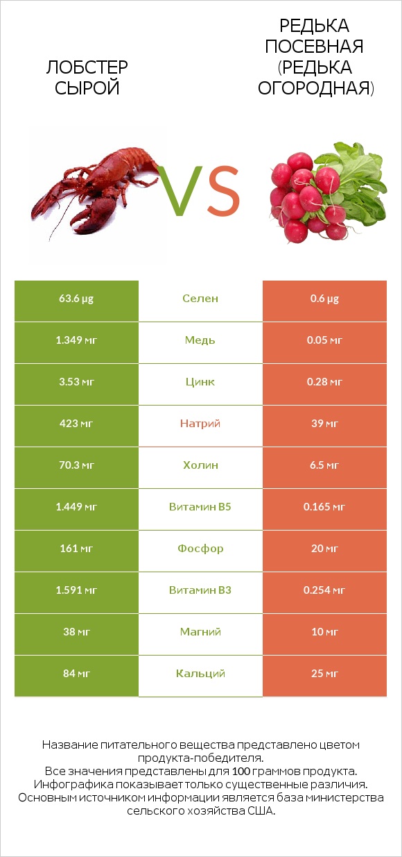 Лобстер сырой vs Редька посевная (Редька огородная) infographic