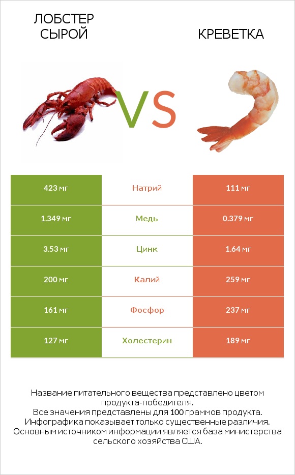 Лобстер сырой vs Креветка infographic