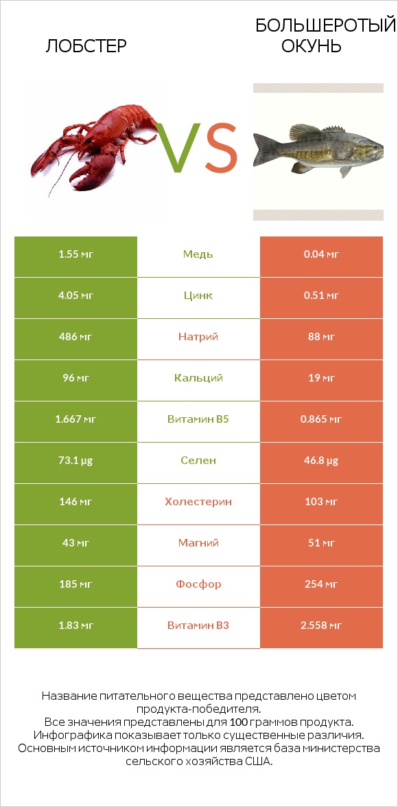 Лобстер vs Большеротый окунь infographic