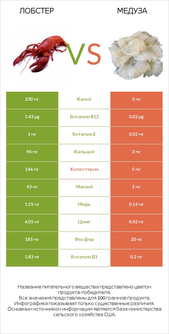 Лобстер vs Медуза infographic