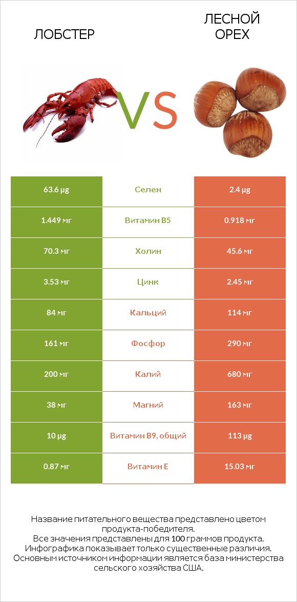 Лобстер vs Лесной орех infographic